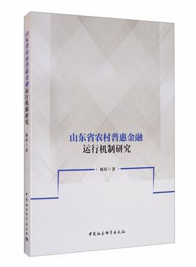 山东省农村普惠运行机制研究杨婷著中国社会科学出版社