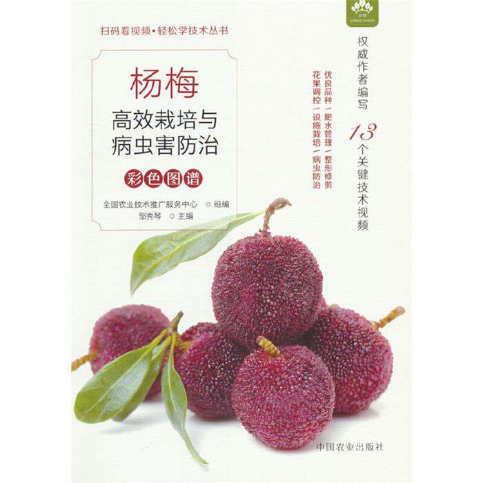 杨梅高效栽培与病虫害防治彩色图谱邹秀琴主编中国农业出版社