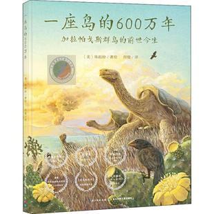 600万年 Chin 美 Jason 陈振盼 一座岛