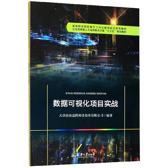 数据可视化项目实战天津滨海迅腾科技集团有限公司