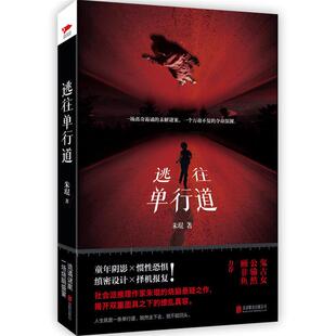 逃往单行道朱琨著北京联合出版 公司9787550289895