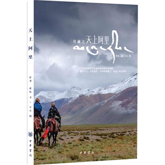 伏藏之天上阿里崔忆,宁心中华书局9787101090956