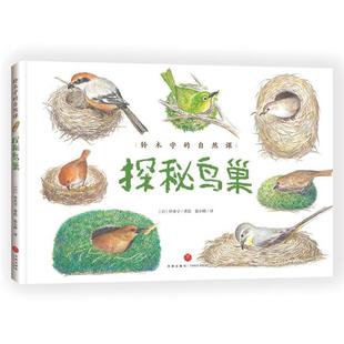 绘天地出版 探秘鸟巢张小蜂 铃木守 日 社 译