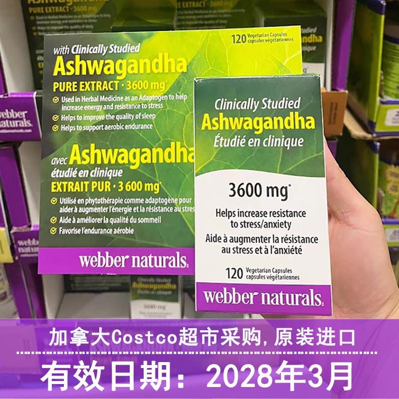 28年3月 加拿大伟博Ashwagandha印度人参南非醉茄120粒减压缓焦虑