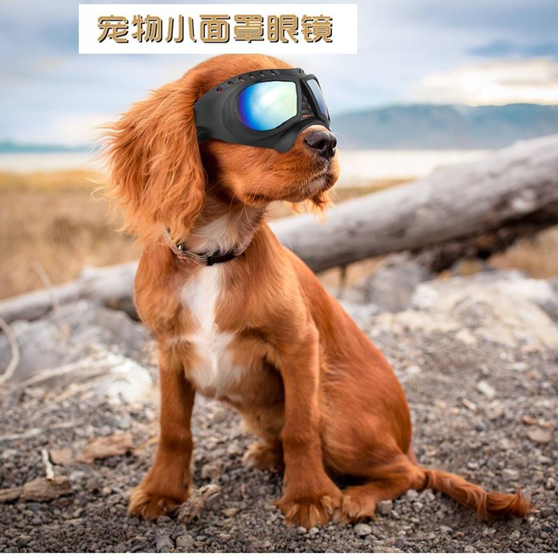 宠物护目镜小面罩眼镜防水防风软镜框中小型狗狗犬太阳镜墨镜眼罩