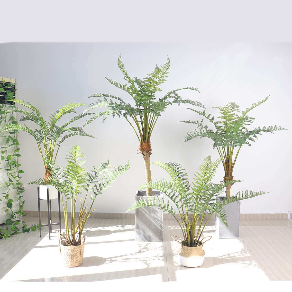 室内仿真金丝蕨绿植盆栽塑料假金毛狗蕨植物中式橱窗造景禅意摆件