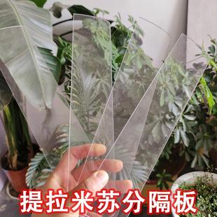 亚克力提拉米苏盒子分隔板托盘模具中间隔断挡板分格器塑料隔离片