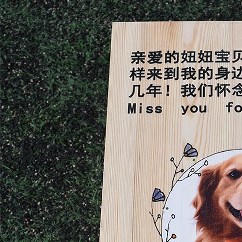 宠物棺材猫咪狗狗遗体殡葬棺木大小型犬安葬入土木箱小动物安乐窝