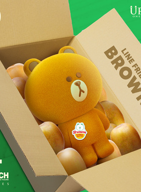 URDU布朗熊LINE FRIENDS奇异果版手办植绒创意潮玩桌面摆件礼物