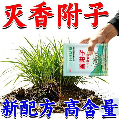 香附子专用除草烂根剂正品强效香附草克星田埂荒地果园附香子专用