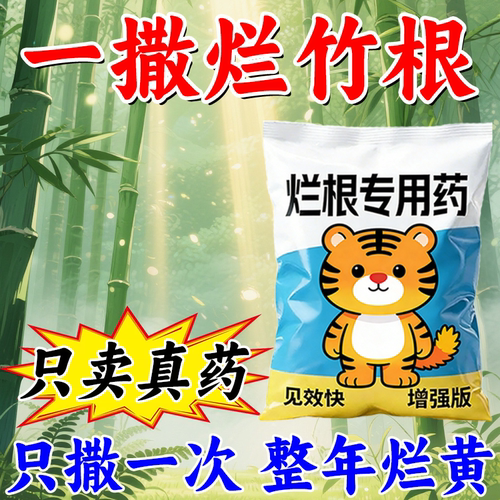 强效打竹子烂根药去竹根大竹杂竹清竹杂草灌木专用剂四季通用正品