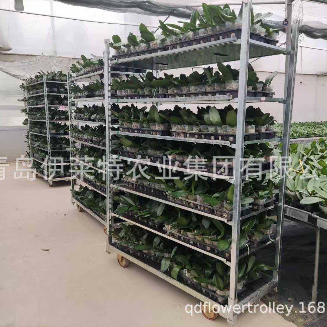 直销家庭阳台蔬菜种植架子，花卉台车，可移动可拆卸,自行车/骑行装备/零配件,更多零件/配件,淘宝优惠券,粉丝福利购,淘宝优惠卷