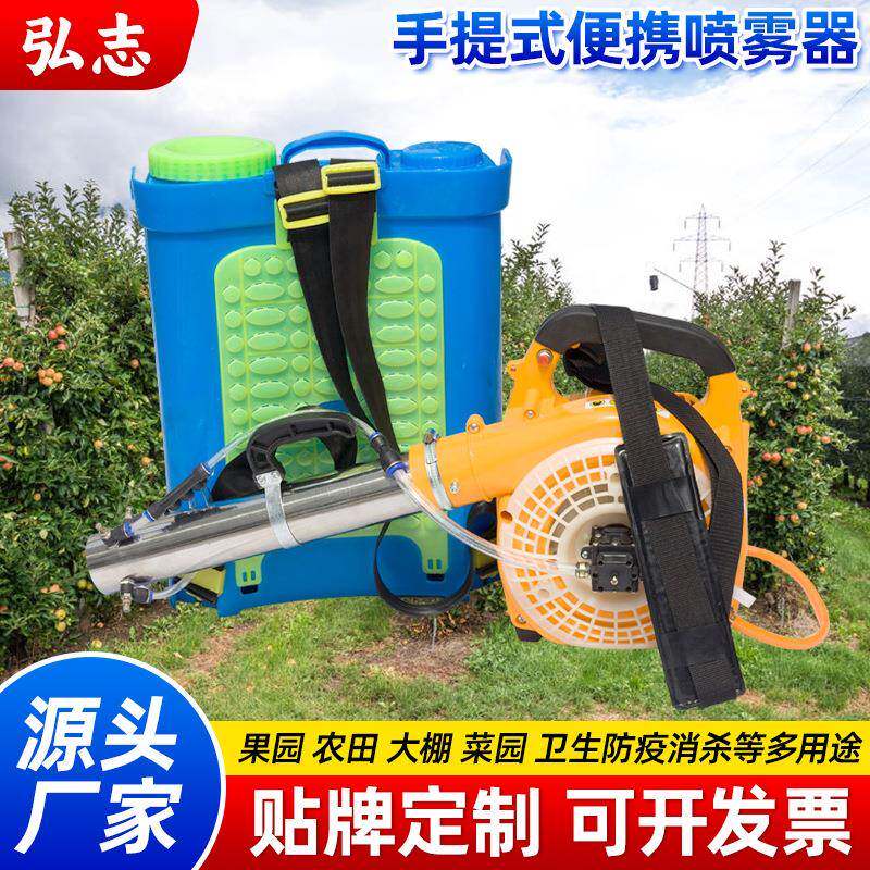 EB260改喷雾器手提式便携轻便农用家用打农药消毒网红汽油打果树