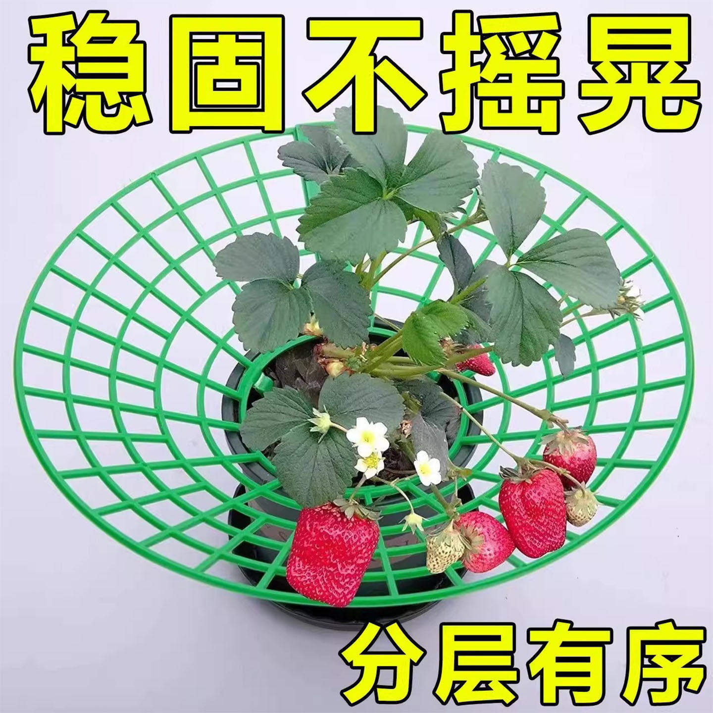 家庭盆栽草莓种植栽培支架托架阳台腐烂倒伏支撑架园艺托盘神器