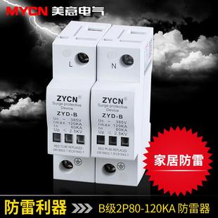 家用 220V 防浪涌保護(hù)器 80KA 120KA 避雷器 B級(jí)2P單相電源防雷器