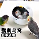 鸟窝四季 通用牡丹玄风繁殖箱鹦鹉睡觉窝虎皮保暖睡窝保温鸟笼配件