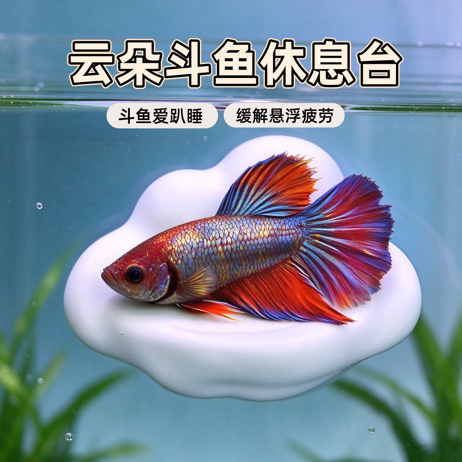鱼缸云朵造景休息平台透气
