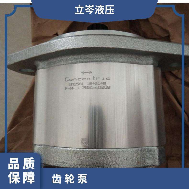 WP09A3V230L03JA145N 德国CONCENTRIC齿轮泵WP09A4B270R05LA146N