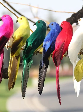 羽毛仿真金刚橱窗园艺装饰小鸟泡沫家居摆件20m艺术假鸟