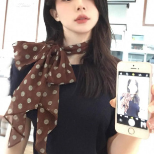 发带绑发长条围巾 棕色波点丝巾印花高级百搭丝带脖饰女2025年新款