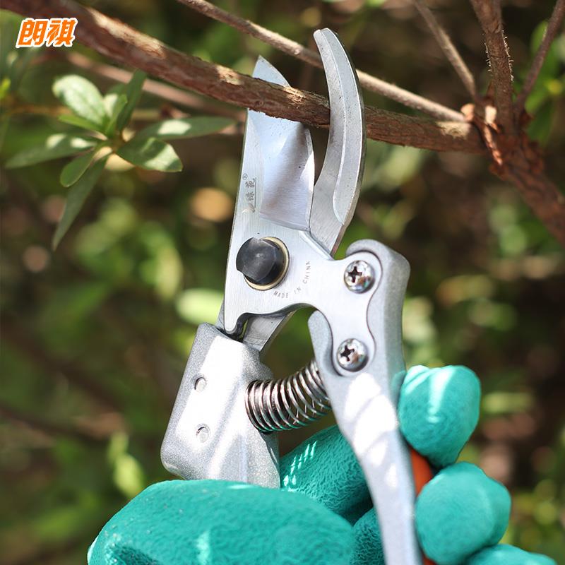 朗祺修枝剪园艺剪刀整枝剪花枝剪树枝摘果剪园林工具粗枝花木剪