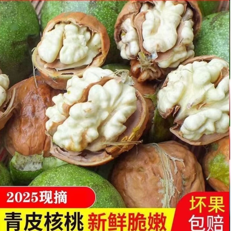 新疆鲜核桃 185纸皮核桃 青皮核桃 新疆直发 5斤装 超实惠