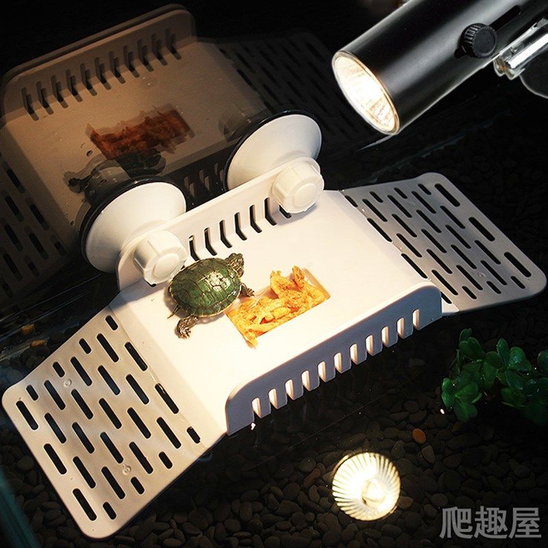 乌龟缸晒台浮岛吸盘晒台爬坡深水晒背台宠物龟晒岛晒背水陆缸爬台,宠物/宠物食品及用品,爬宠缸/箱,淘宝优惠券,粉丝福利购,淘宝优惠卷