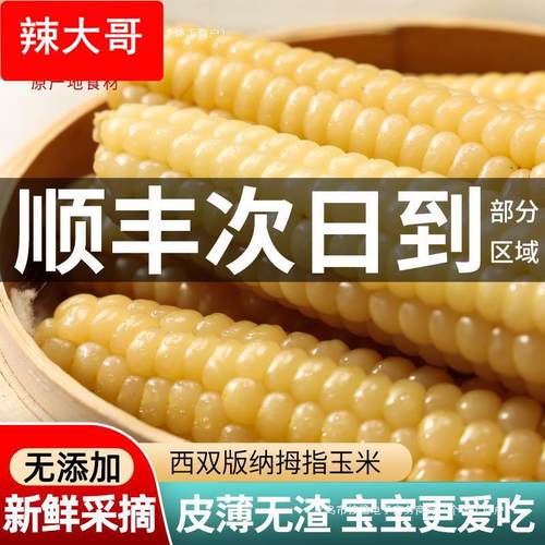 云南西双版纳拇指小玉米新鲜手指宝宝糯玉米黏早餐即食真空甜玉米