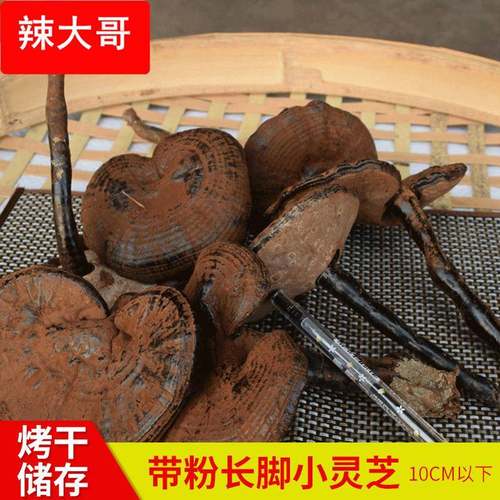 农产品500g椴木紫灵芝 不苦带粉长脚黑灵芝 干货特产10cm长柄灵芝