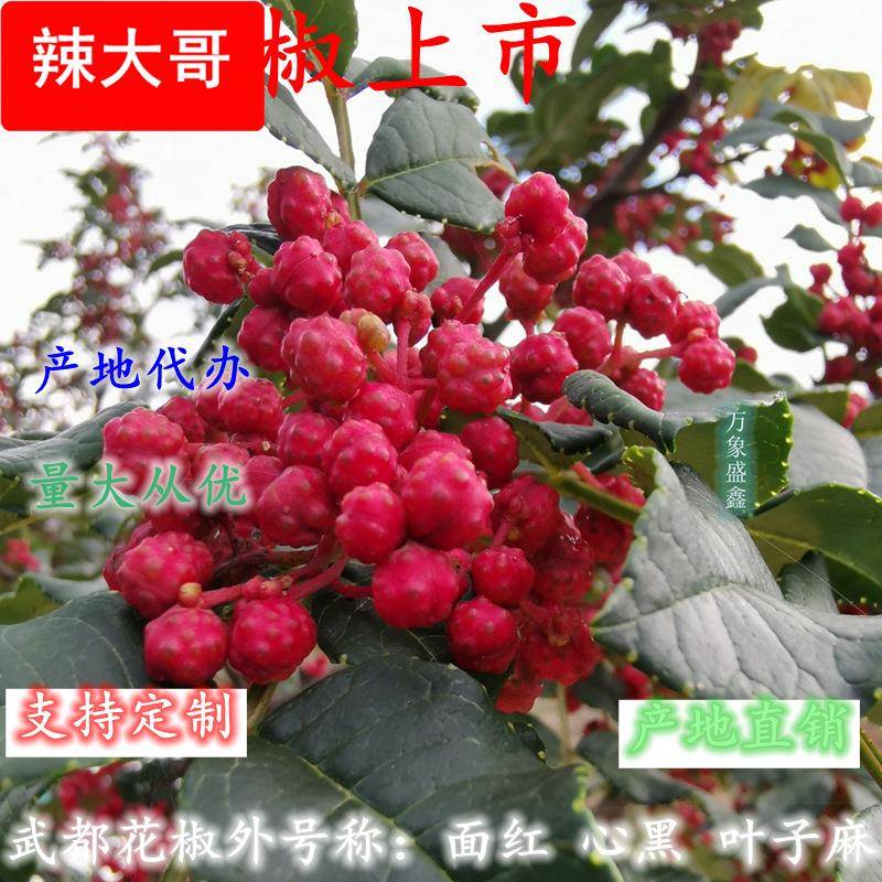 武都大红袍花椒麻椒伏椒红花椒粒油椒不掺其他品种花椒纯货