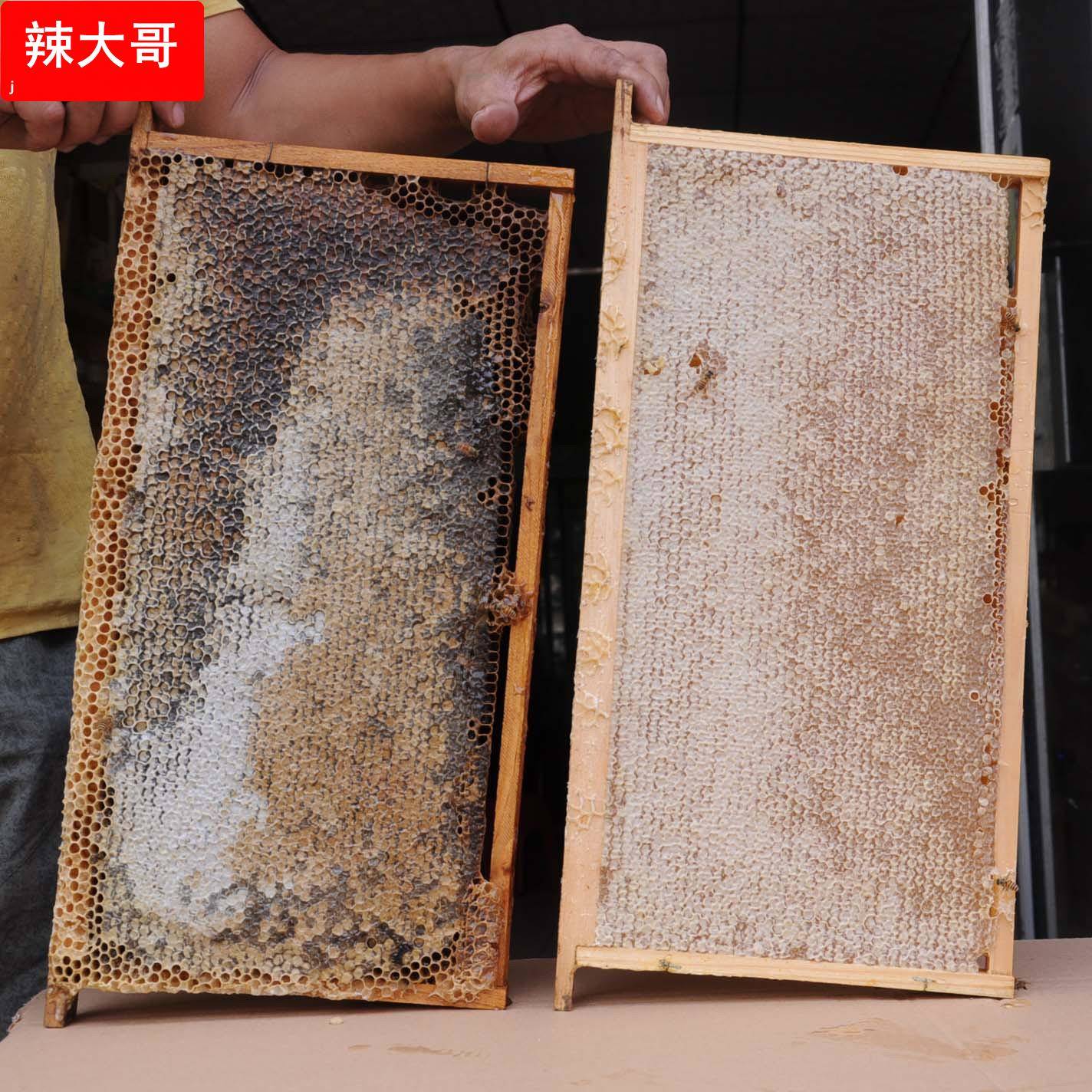 健凤园老蜂巢巢蜜农家自然成熟带框整张封盖蜂蜜蜜脾