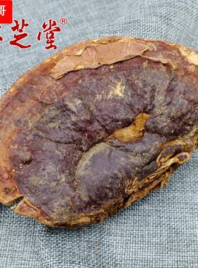 海南农户自采 红灵芝 无柄赤芝平盖林中芝丹芝零售直销非种植