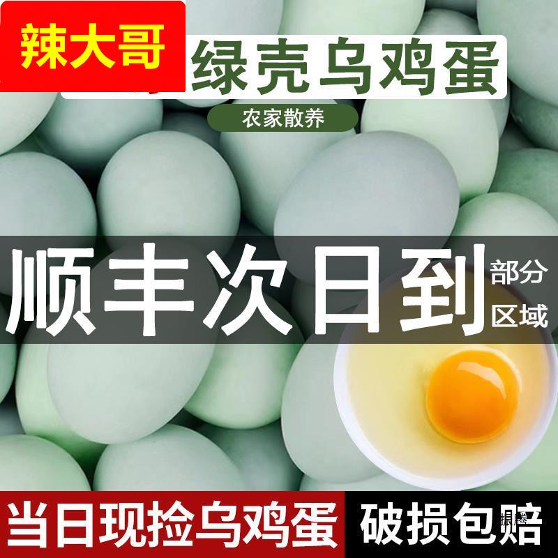 乌鸡蛋农家散养新鲜绿壳农村草鸡蛋40枚无绿皮土鸡蛋柴鸡蛋