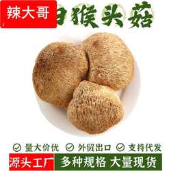 古田猴头菇干货500g煲汤佳品新货无熏硫猴头菇粉菌菇干货散装