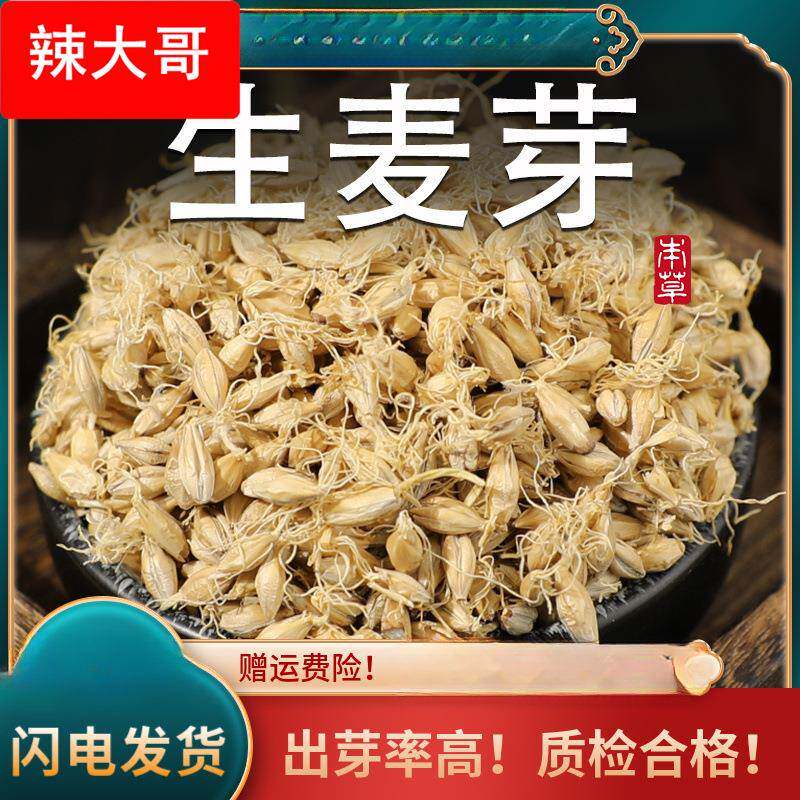 麦芽材生麦芽大麦芽生大麦芽茶麦牙回泡水粉奶新鲜搭谷芽山楂