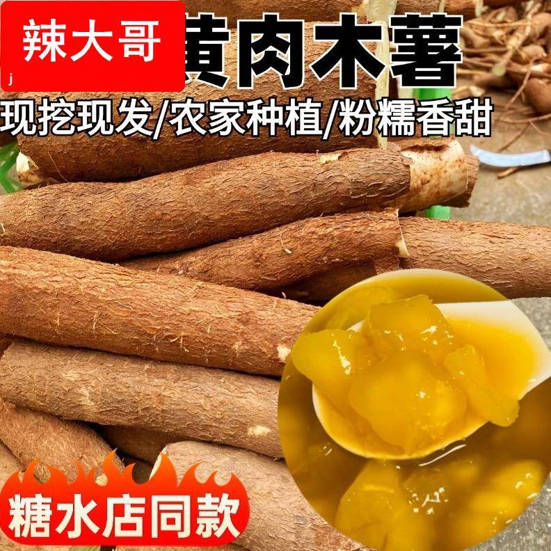 黄心木薯新鲜黄肉蛋黄广西特产农家种植现挖现发粉糯香甜顺丰包邮图片