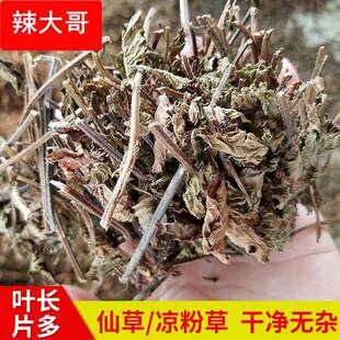 福建仙草凉粉草1kg 无土凉茶饮料原料 仙草冻 邱福平福建仙