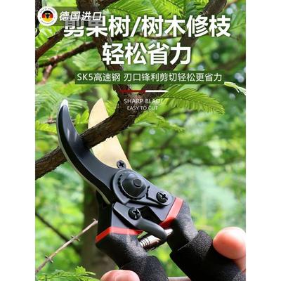 德国进口修枝剪园艺剪刀园林修剪花艺修花剪果树修枝专用工具剪刀