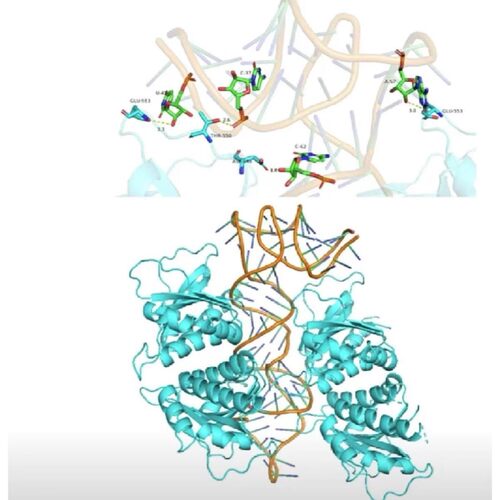 网路药理学分子对接网路药理学教程自学入门零基础课程G107