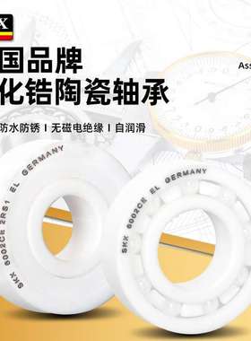 德国SKX陶瓷轴承6016 6017 6018 6019 6020 6216 6217 6218 CE RS