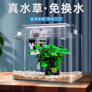 鱼缸客厅小型鱼缸透明热弯玻璃金鱼缸带氧气灯光造景水族箱创意