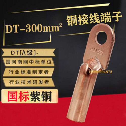 DT300mm 铜鼻子300平方铜线鼻子 电线电缆耳 铜接线端子 国标A级