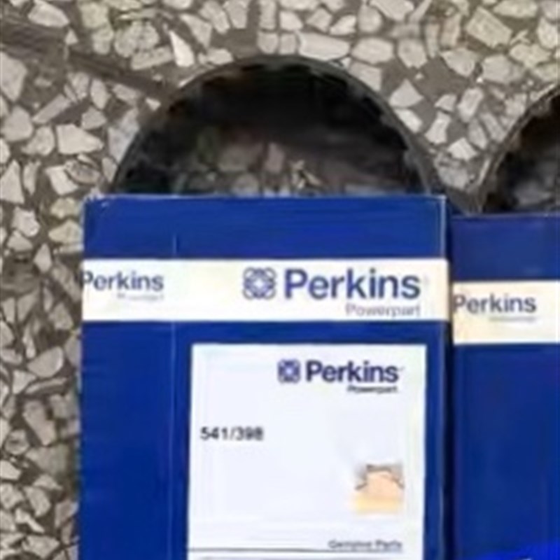 Perkins珀金斯帕金斯541/398发动机零配件充电机皮带