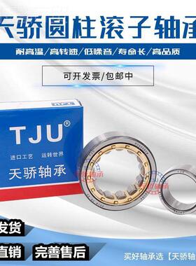 天骄圆柱滚子轴承 NJ2310 E2 2311 2EYR312 2313 231431M5