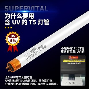 速倍妥龙鱼灯专用发色灯管鱼缸增艳灯红龙血鹦鹉烤色灯led全光谱