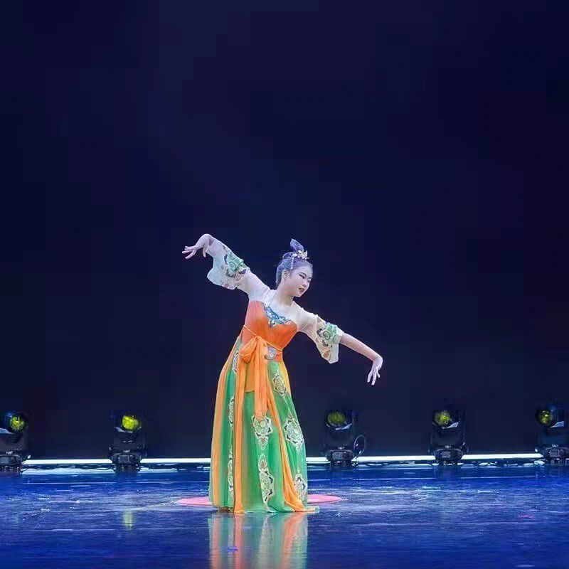 唐印舞蹈服古典舞演出服女汉唐舞表演服民族飘逸中国风开场舞服装