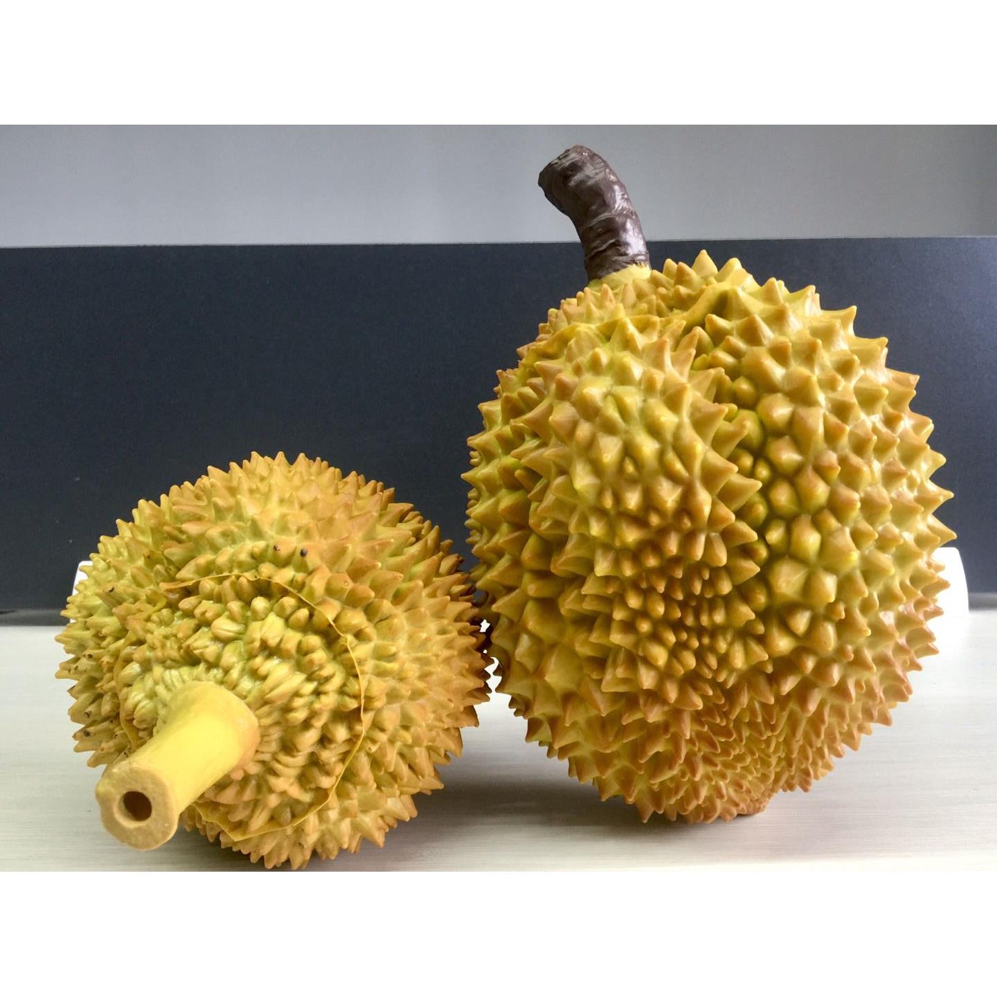 仿真榴莲模型假榴莲哈密瓜塑料金枕模型摄影小品道具水果店摆设