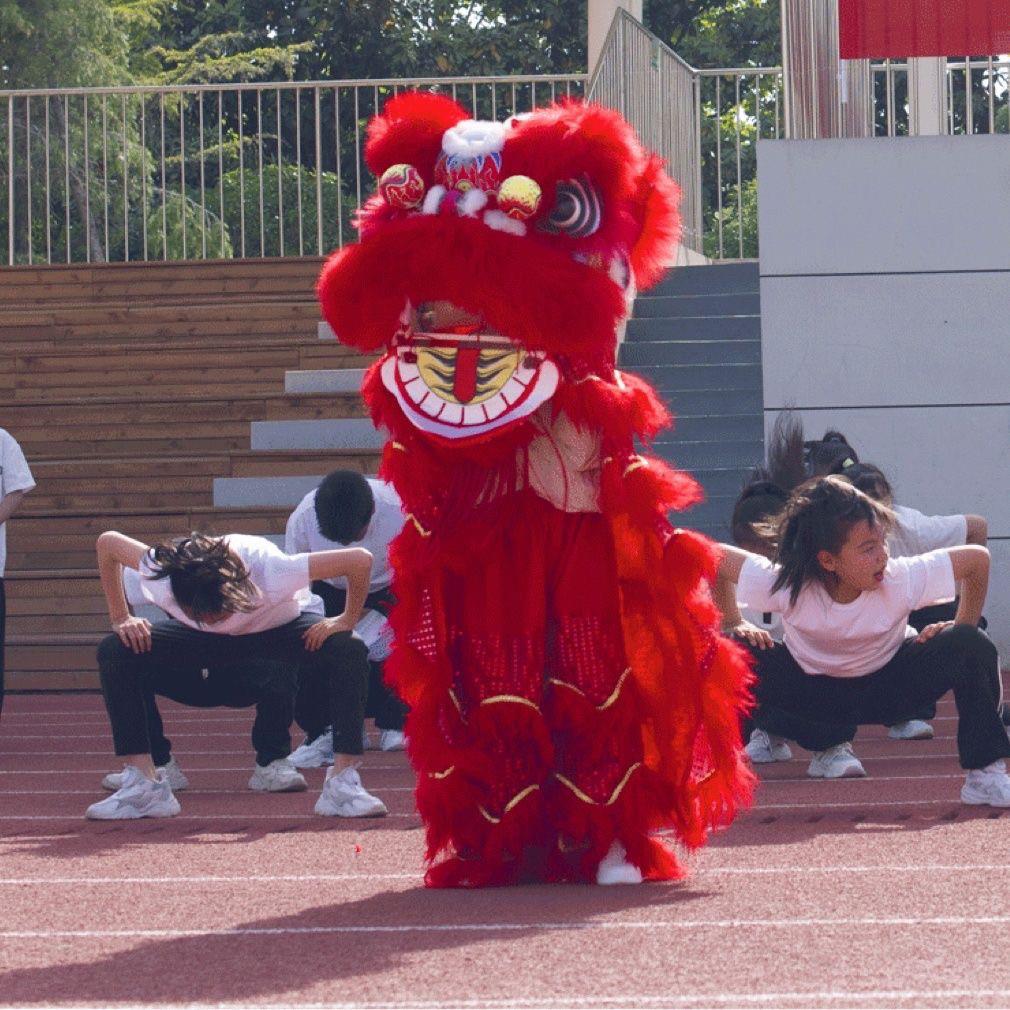 舞狮道具儿童单人双人醒狮表演道具南师服装中学小学生幼儿狮子头