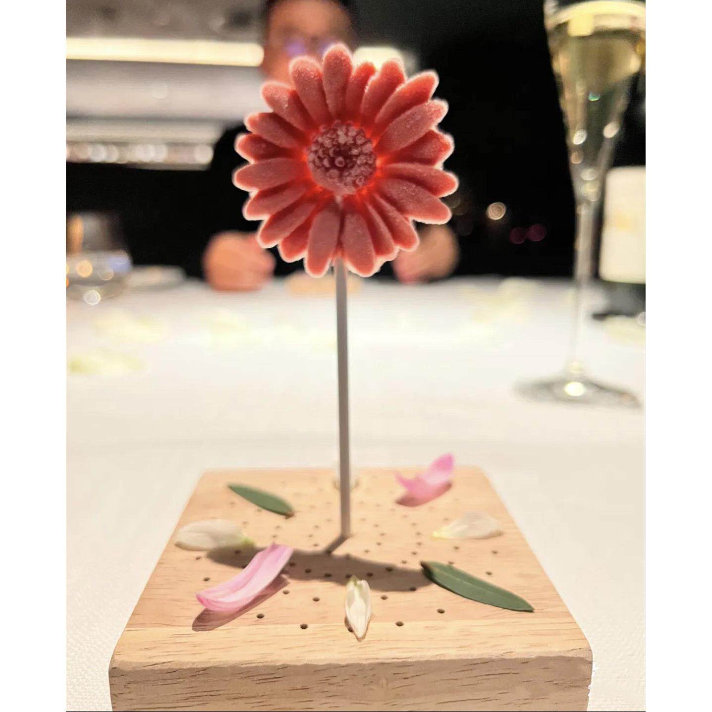 向日葵棒棒糖DIY小雏菊洋甘菊花朵烘焙模具创意西餐开胃菜磨具