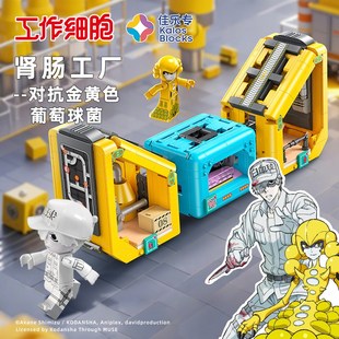 佳乐专工作细胞周边积木玩具血小板白细胞动漫潮玩手办儿童礼物